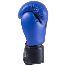 Перчатки боксерские Spider Blue, к/з, 14 oz