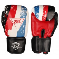 Перчатки боксёрские RSC HIT PU SB-01-146 14 унций Бело-красно-синий