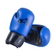 Перчатки боксерские Spider Blue, к/з, 6 oz